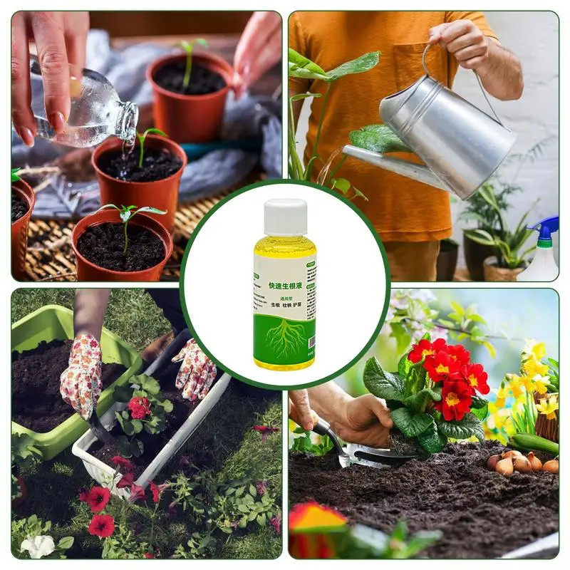 Рисунок 3 - Гормоны для укоренения растений