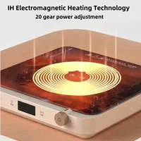 220V Multifunctional Multi Cookers with Non Stick Coating Baking Tray and Hot Pot,2000W High-power IH Electromagnetic Induction 2
