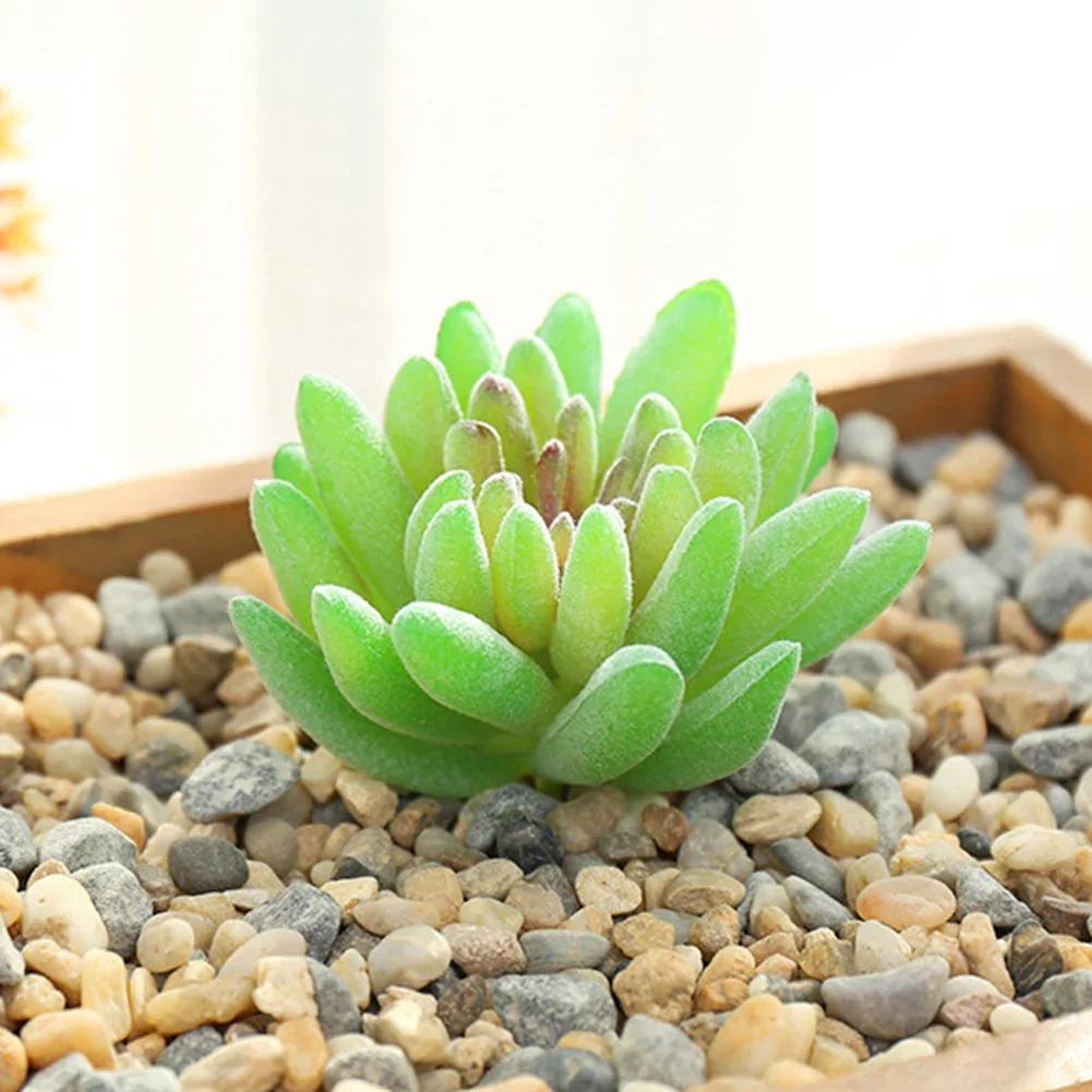 Mini Künstliche Sukkulenten Strömten Simulation Pflanze Gefälschte Kaktus Lotus Landschaft Dekorative Ornamente Home Garten Decor – Detail 16