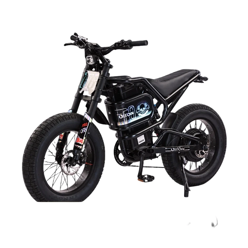 Diton S-300 60V 3000W Electric Bike | 25Ah Remote Battery | Powerful Motor, Off-Road Electric Bike for Outdoor Lovers