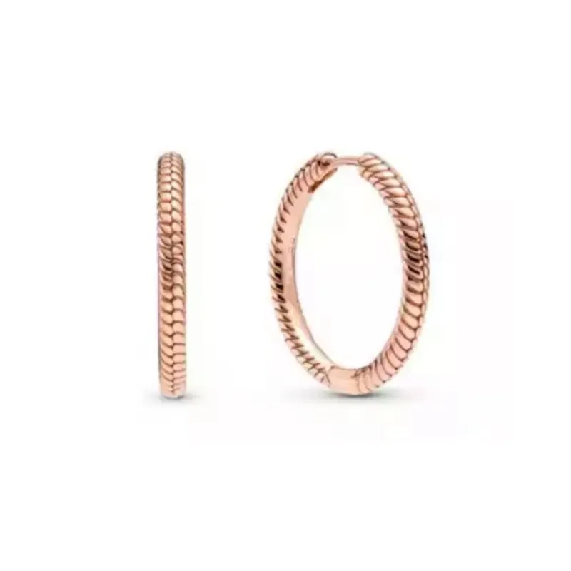 Orecchini Argento 925 con Zirconi - Dettaglio materiali