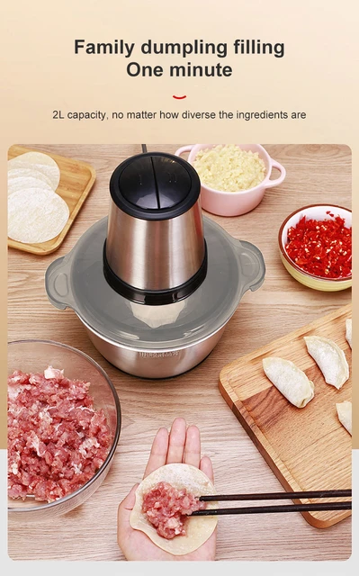 2 Speeds 200W Stainless Steel 2L Capacity Electric Chopper Meat Grinder  Food Processor Slicer Household Mincer Food Chopper - AliExpress