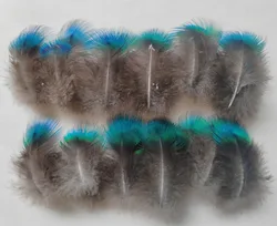 Elegant Blue Peacock Plumage Feathers for Crafts and DIY Projects, 50 Pieces (4 - 7cm)
