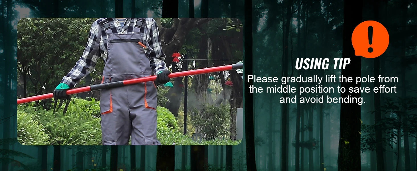 tree saw with pole