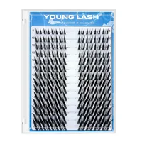 YOUNG LASH 10 paquets/lot Cils en grappes DIY 100% faits à la main Extensions de cils en matériaux de qualité supérieure sans cruauté animale 5