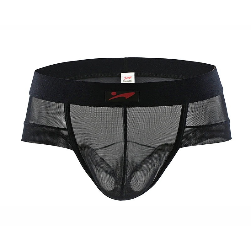 Men Underwear Briefs Slip Mesh Shorts Cueca Gay Men Underwear Sexy Male