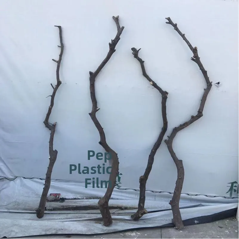 Wall Hanging Dry Branch Wood Coat Hook Ceiling Mounted Dried Wood Branch Decoration Ornamental Dry Branches l Wood Crt