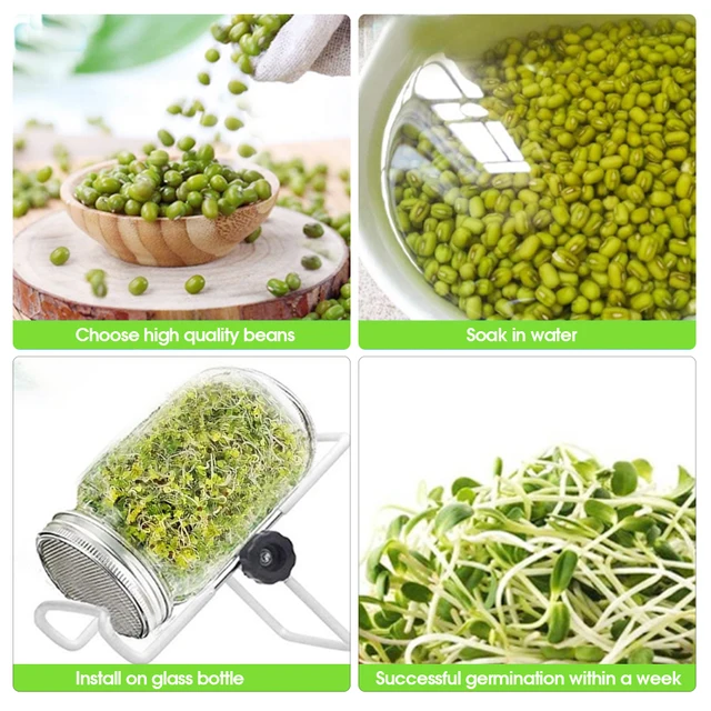 86mm Wide Mouth Sprouting Jar Filter cap Stainless Steel Screen Seed Germination Tray Kit for Peas Bean Sprouts Seedling Growth 5