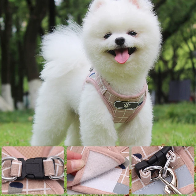 Nylon Dog Harness Breathable Mesh Vest Adjustable Dog Harness and Leash Set for Small Dogs Cats Reflective Pet Collar for Puppy 2
