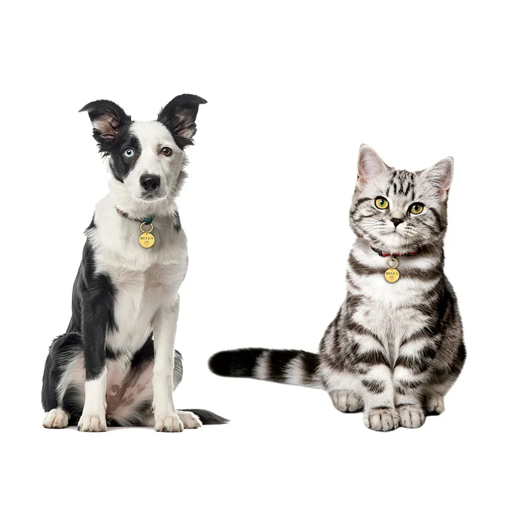 KIYUE ID Tag Custom Name Anti-lost Engraved Record Tel Cat Puppy Personalized Paw Print Medal Pendant Pet Dog Collar Accessory pet id tags dog collar tags pet id medal pendant