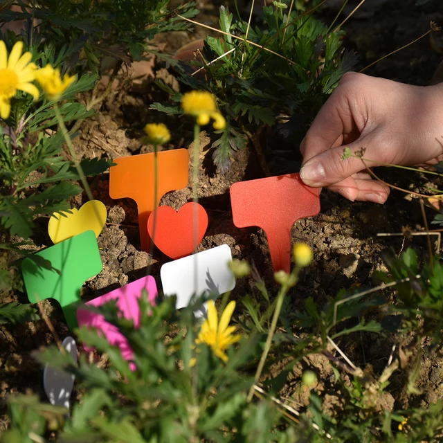 20PCS Plant Markers Plastic Waterproof Labels Stakes 59*98MM Garden Bonsai Succulent Seeding Thick Tag Sign on Soil Paint Sticks 2