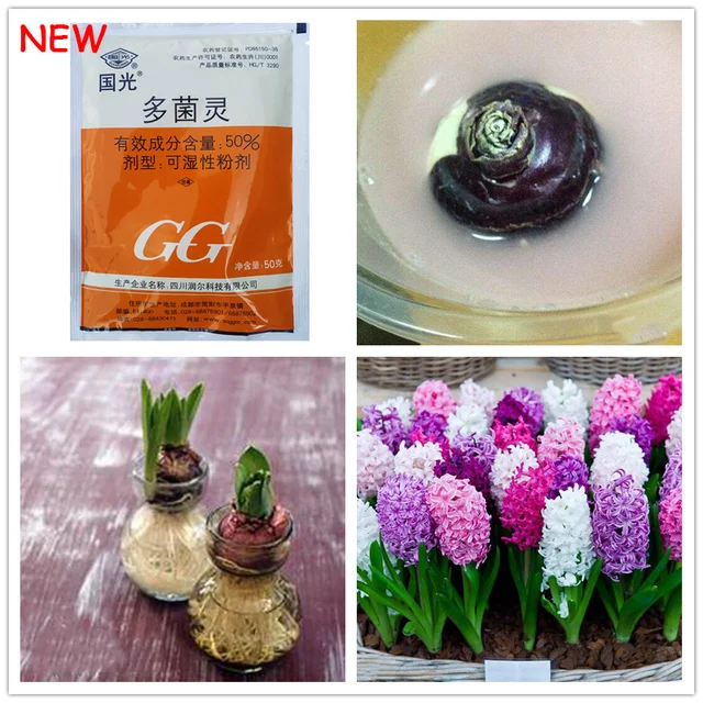 50 G Műtrágya Növekedési Hormonnal A Növények Gyökereihez - Image 4