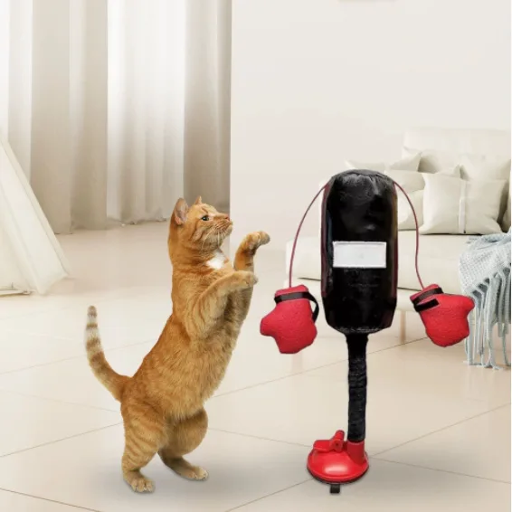 Interactive Cat Boxing Toy with Punching Bag 5