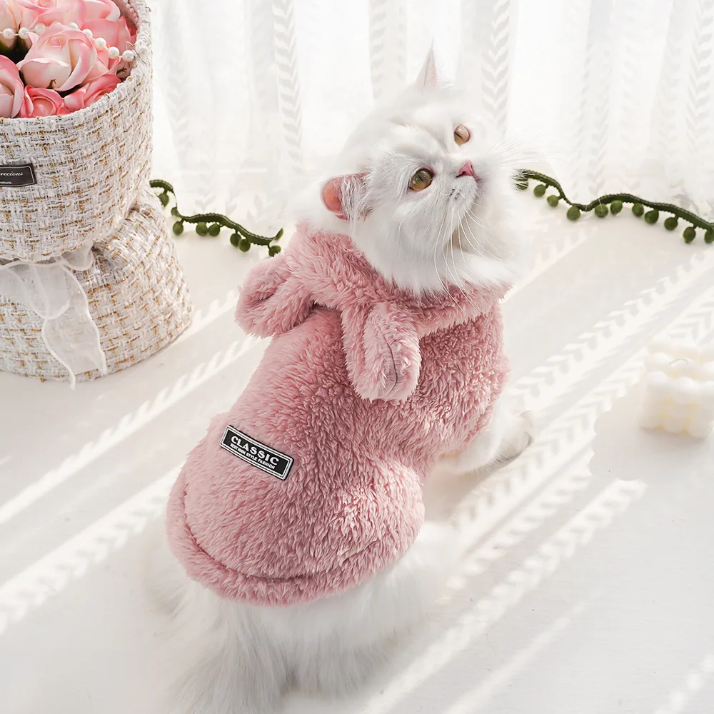 Warm Pet Hoodie Outfit 3