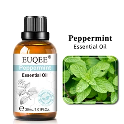 Aromatherapy Bliss: Vanilla, Lavender, Mint & Rose Essential Oil Blend (30ml) - 30ml (Peppermint)