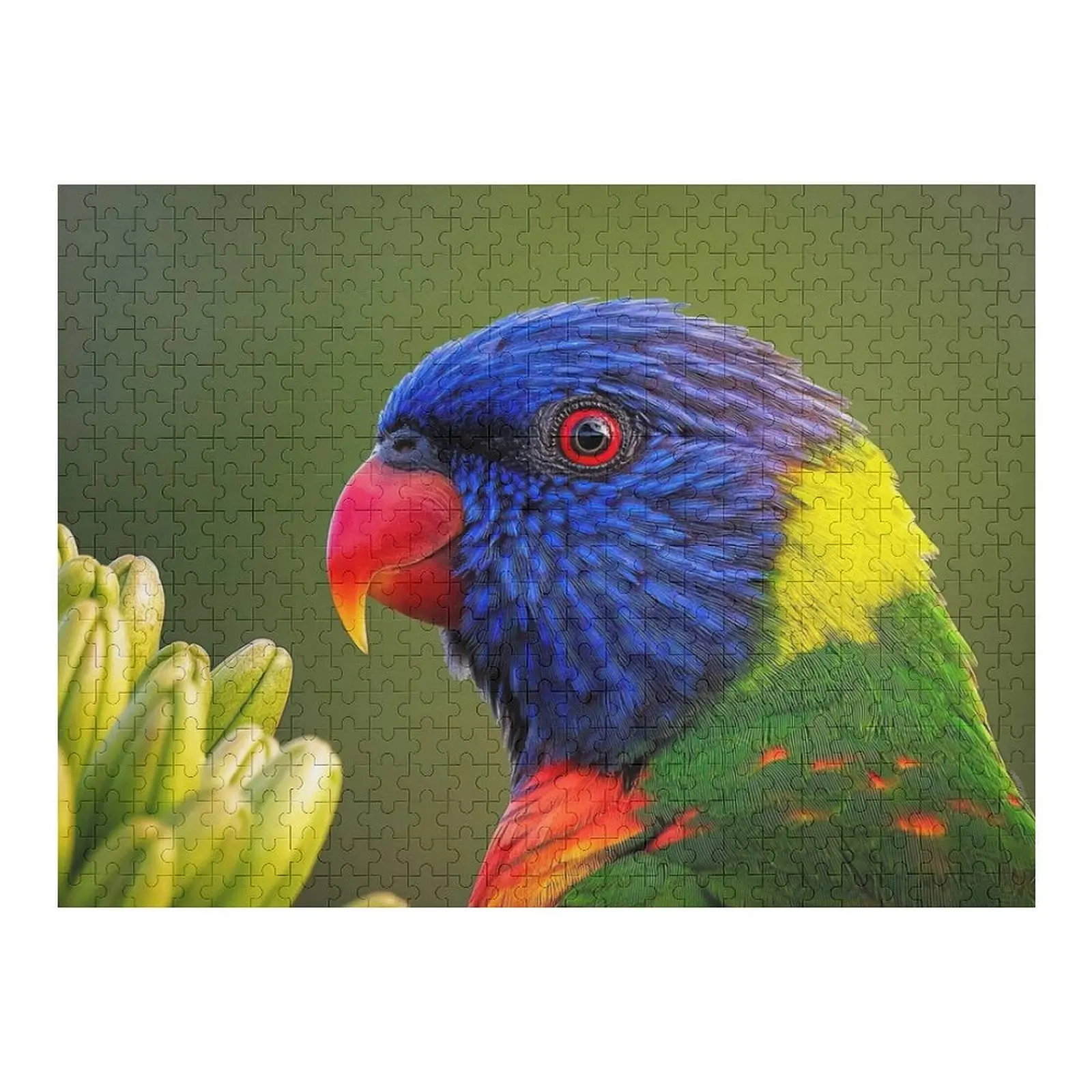 

Australian Rainbow lorikeet Jigsaw Puzzle Wooden Animal Wooden Name Picture Personalised Toys Puzzle