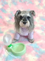 Portable Foldable Pet Water Bottle with Large Capacity Bowl (Green 350ml)