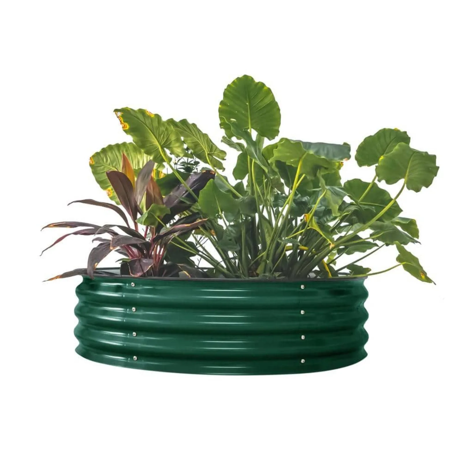 

US 11 in. Tall 42 in. Wide Round Pearl White Metal Round Raised Garden Bed Kit