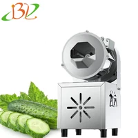 Commercial Electric Meat Cutter Desktop Multi-Function Slicer Potato Beetroot Eggplant Cutting Machine 1