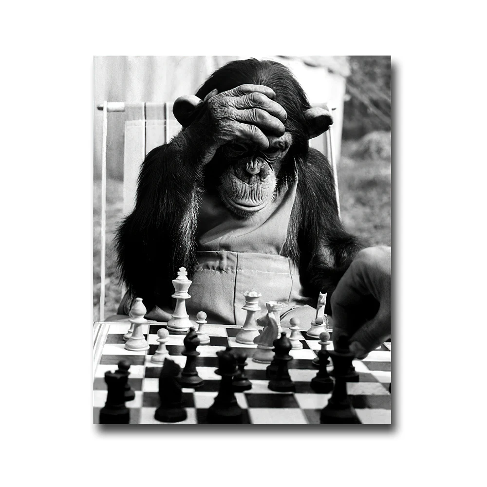 Modelo de xadrez do Rei Macaco e Masmorra, Pastor Macaco e Grupo Macaco,  dnd Running Group, Jogos de mesa