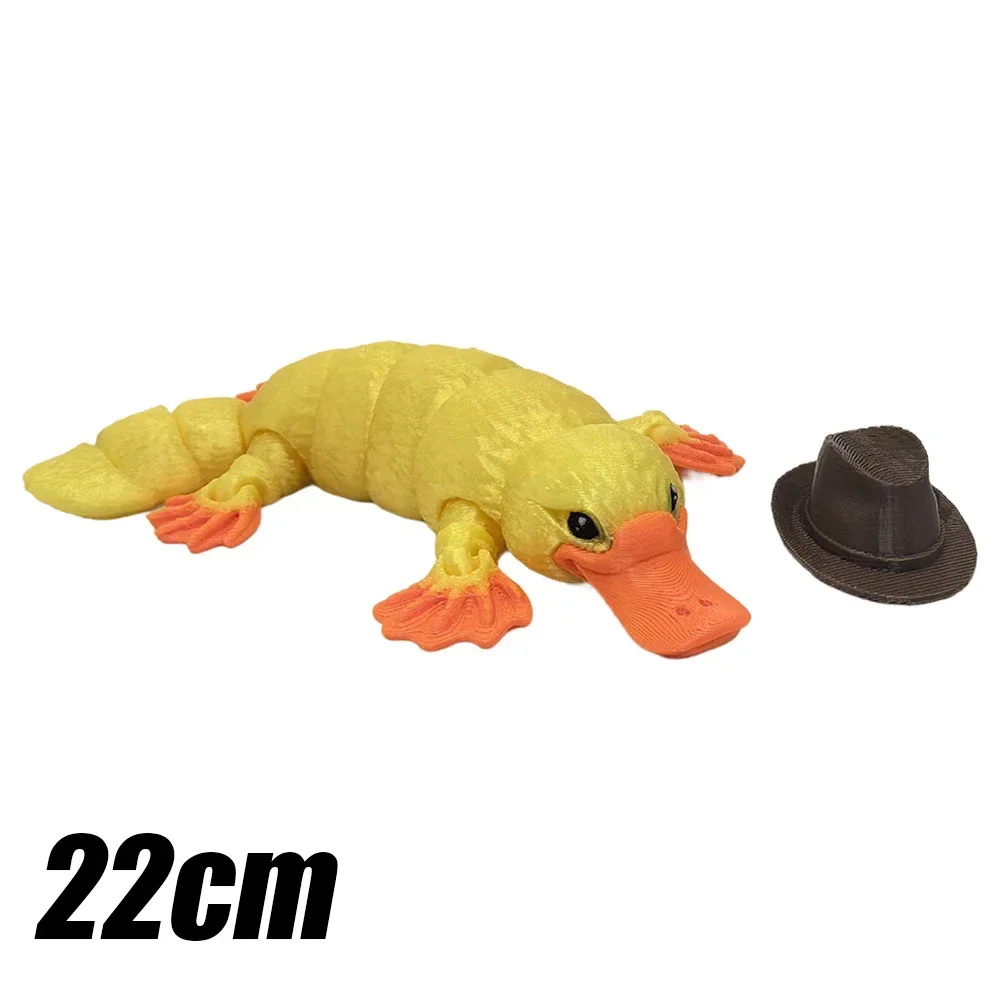 22cm#3