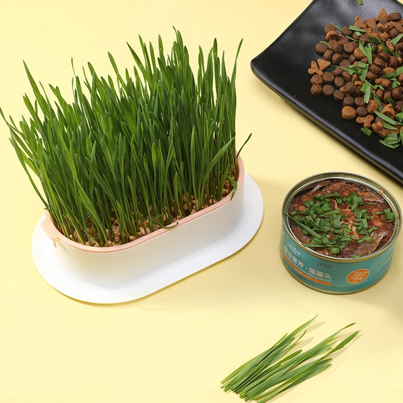 Cat Grass Growing Pot Tray Starter Dish Hydroponics