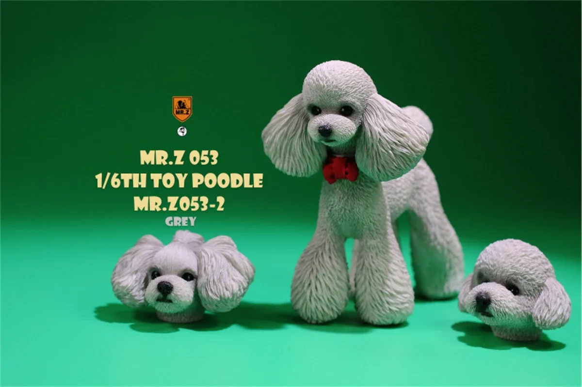 Mr.Z Studio 1:6 Cute Toy Poodle Dog Pet Figure Canidae Animal