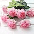 Deep pink rose