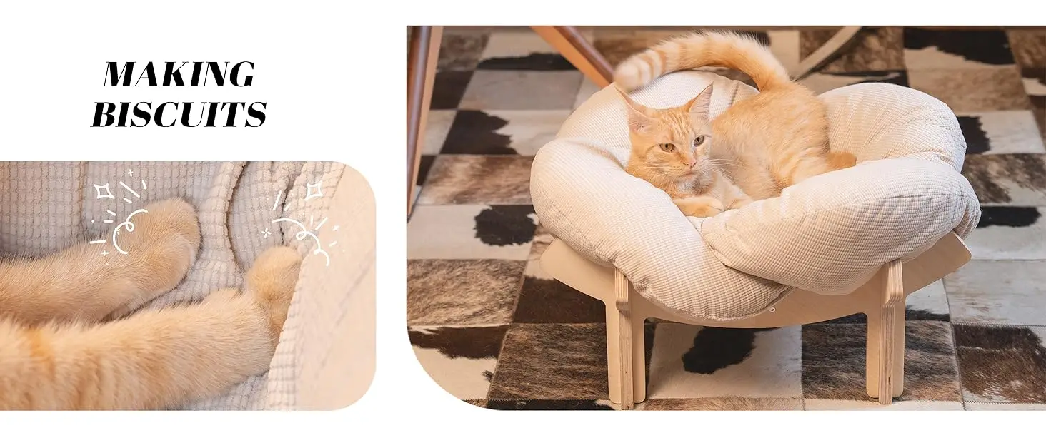 cat bed