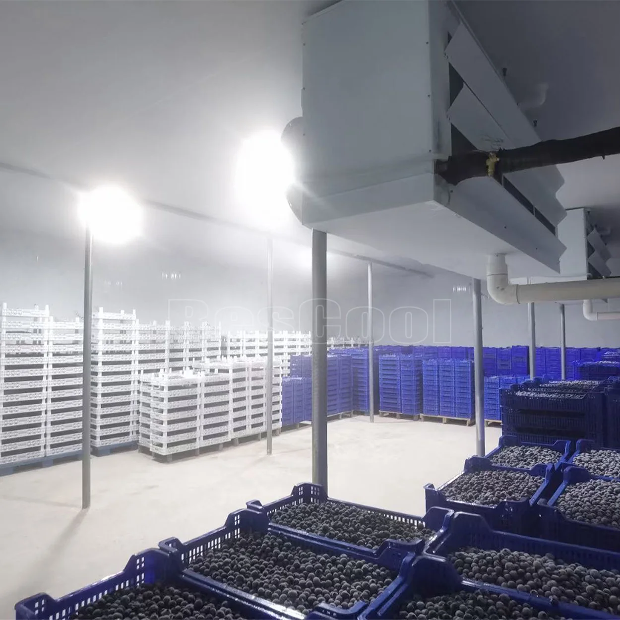Cold Room Storage Cooling System Freezer Unit Walk in Cooler for Fruit and Florist Refrigerator Container