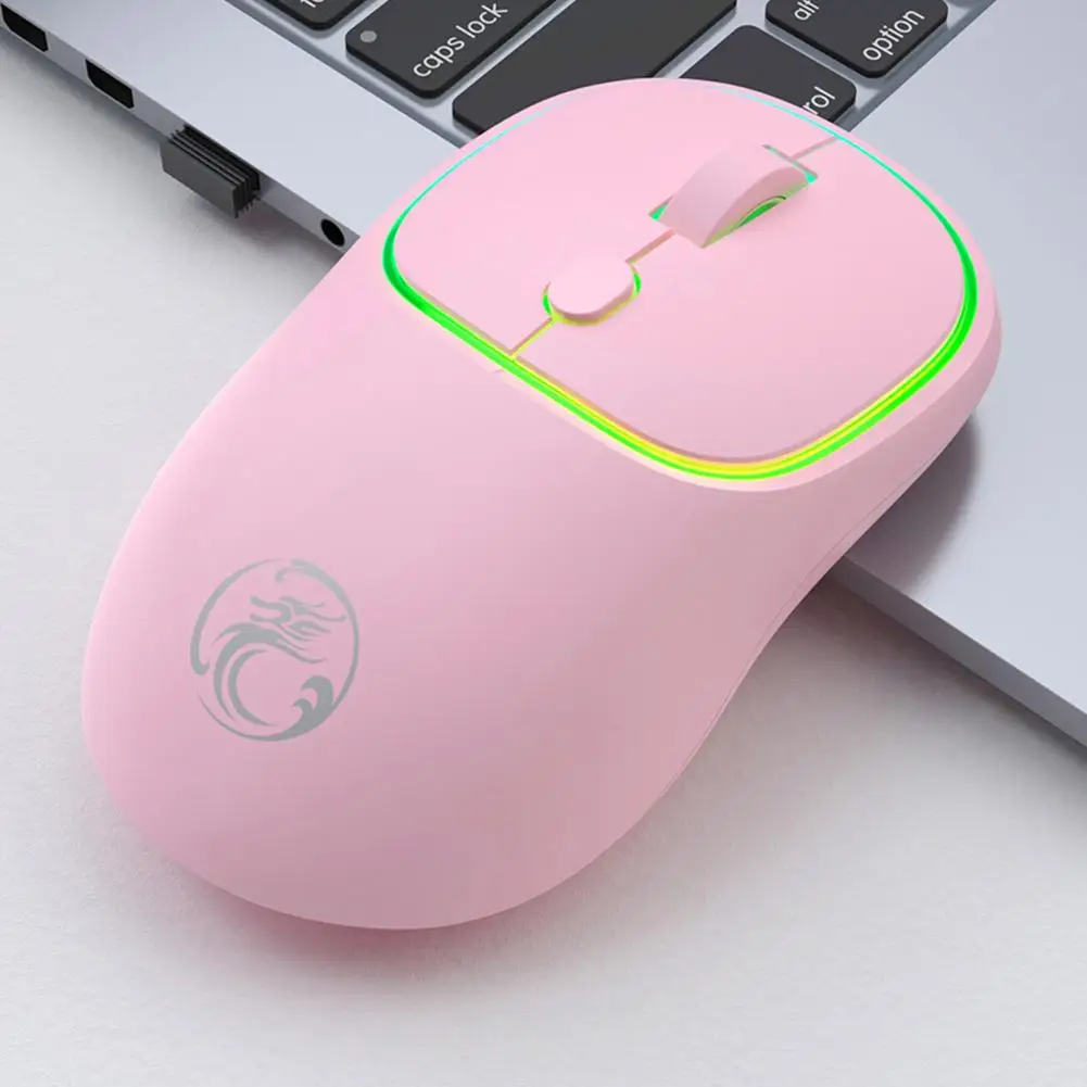 

Mute Mouse Practical DPI Adjustable Plug Play Ergonomic PC Optical Mouse with USB Receiver for Computer
