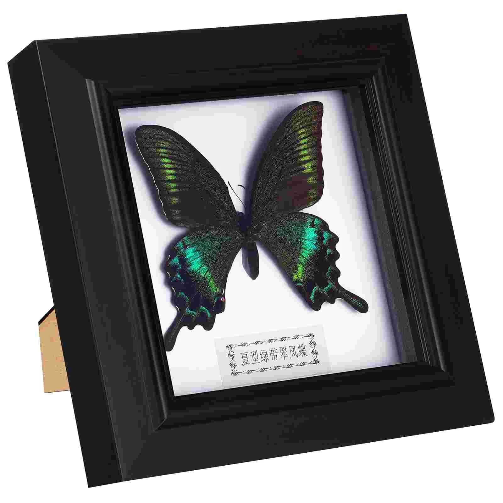 Simulated Butterfly Specimen Handmade Rare And Exquisite Specimens Decor Wall Hanging Specimen For Education Collection Rese