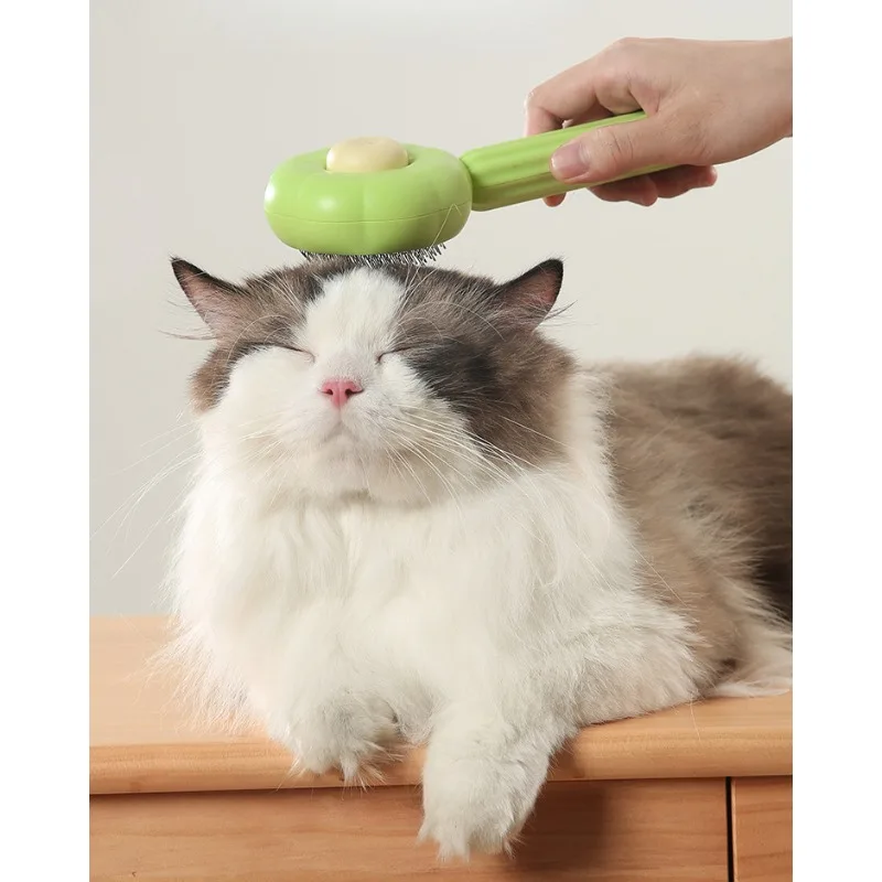Cat Grooming Brush 1