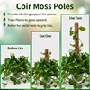 Plant Moss Coir Pole Bendable Plants Climbing Support Extension Palm Vines Stick Indoor Balcony Garden Courtyard Flower Decor 4