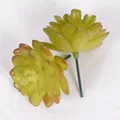 1Pcs-17
