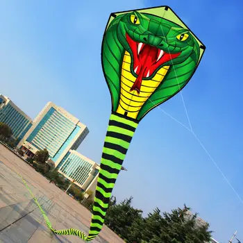 Colorful Snake Kite 1
