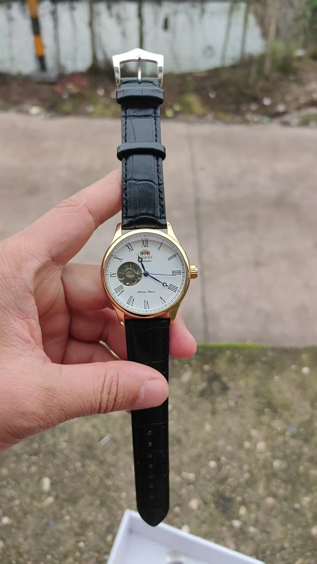 118A Store Mechanical Skeleton Watch with Full Functions, World Time, Minimalist Orient Style - 5