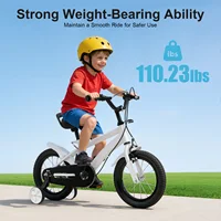 Vélo pour enfants de 14 pouces avec roues d'entraînement, hauteur de siège réglable, double freins, vélo d'apprentissage pour enfants pour garçons et filles 1