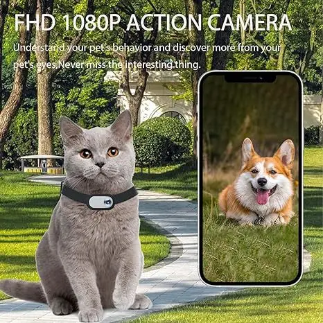 Pet Supplies Cat and Dog Collar Camera Outdoor Sports Camera Video Mini Body