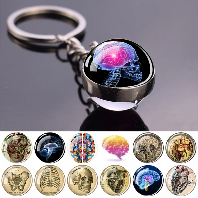 Brain Skull Heart Lungs Keychains Human Organ Two-Sided Glass Ball Pendant Key Chains Doctor Biologist Art Jewelry Keyring Gift