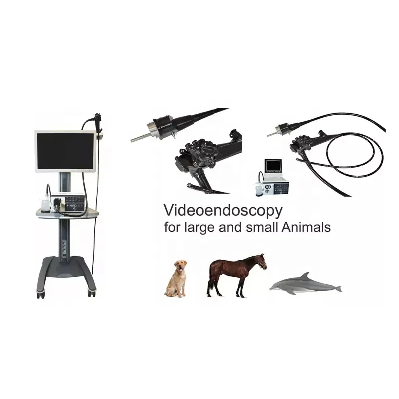 Рисунок 5 - Горячая Распродажа ветеринарный