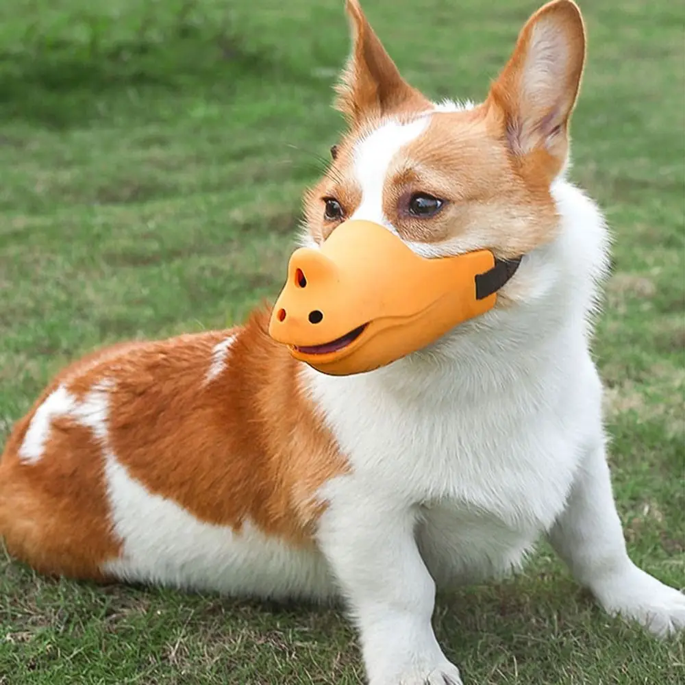 Dog Mouth Cover - PeticaDeals