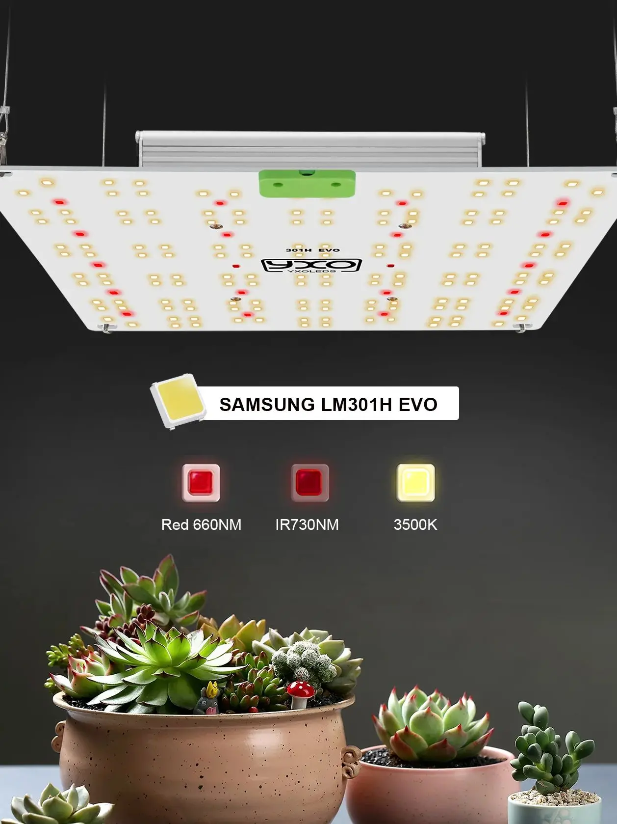65W 120W LM301H EVO LED Grow Light Full Spectrum Sunlike Indoor Plant Flower Greenhouse Growing Lamp 660nm 395nm 730nm