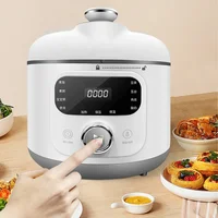 1.6L Electric Pressure Cooker Multifunction Heated Rice Intelligent Electric Pressure Cookers For Home 2