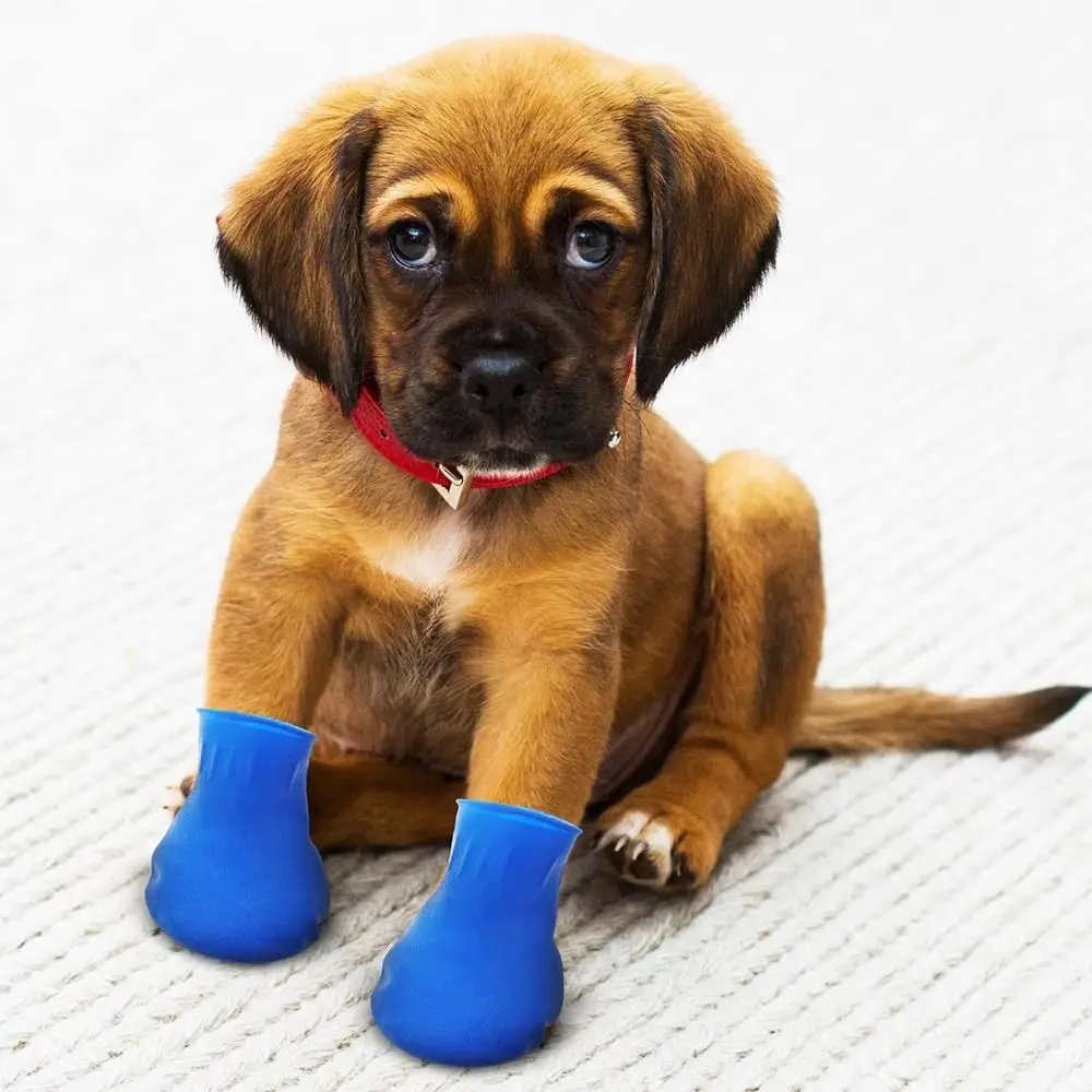 Slide image 1ec9c14bec0b4f2589864ed075c32a9b