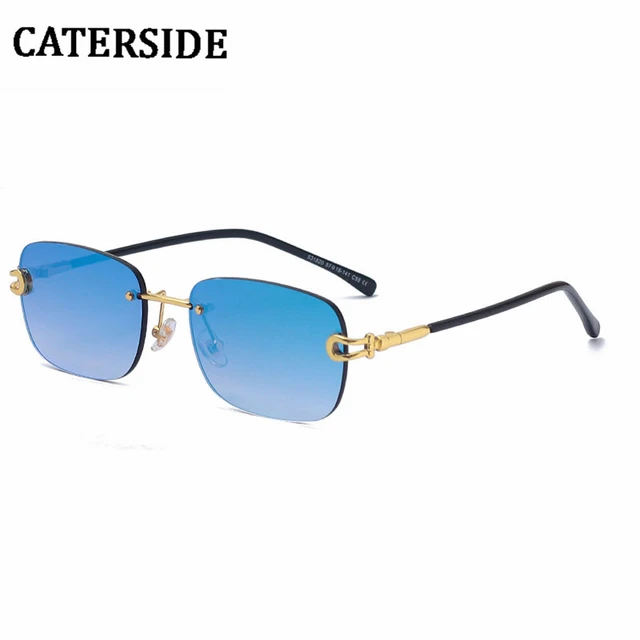 CATERSIDE Fashion Metal Eyewear Double Bridge Style Gradient