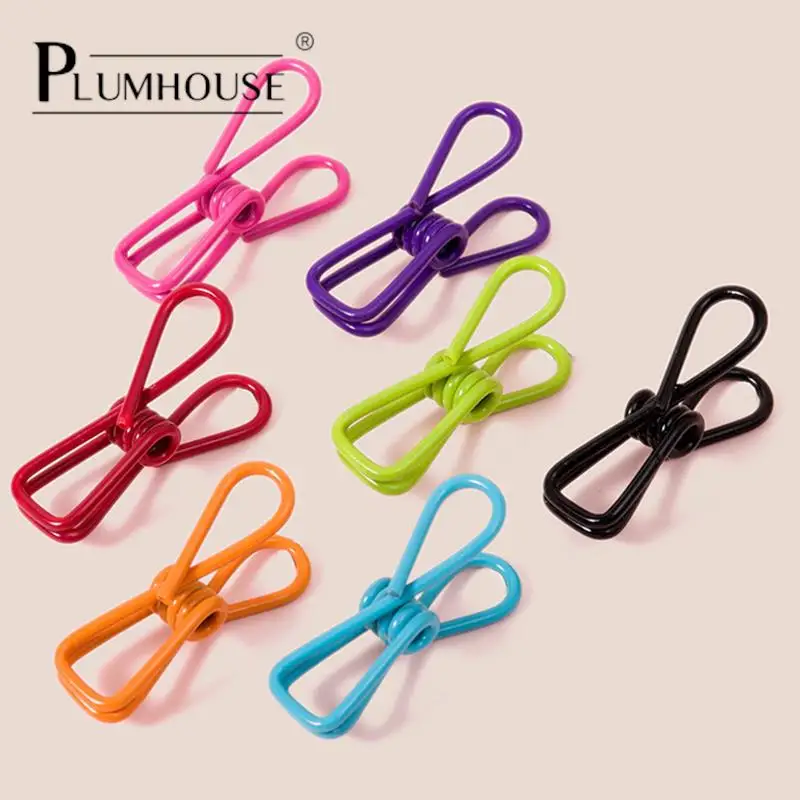 

10pcs Excellent Quality Stainless Steel Clothes Peg Towel Socks Clip Pants Clothes Underwear Clips Small Metal Clips For Hanger
