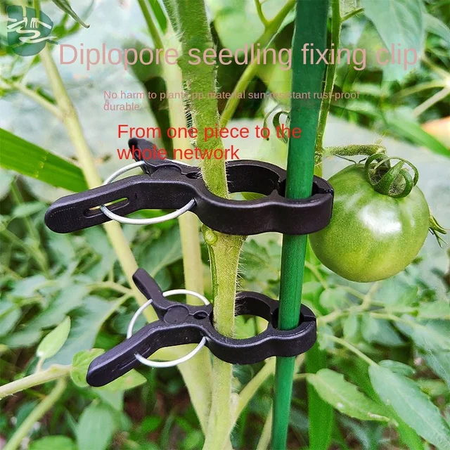 Növényi Oltó Klip Műanyag Kertészszerszám Uborka Padlizsán Görögdinnye, Kerek Szájú Lapos Száj Elleni Billenő Állvány - Image 2
