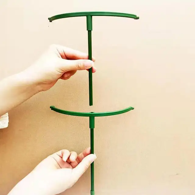 Növényi Tét És Támaszkodik A Zöld Szárú Virág Félkerekes Támogatáshoz, Nem Könnyű Rozsdásodni Kellékek Használatával - Image 2