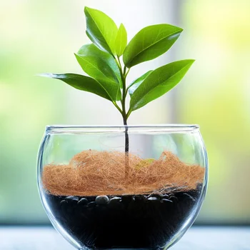 Coconut Mulch Flowerpot Biodegradable Coir Mat Garden Coconut Fiber Potted Plants Cover Inhibiting Permeable 1